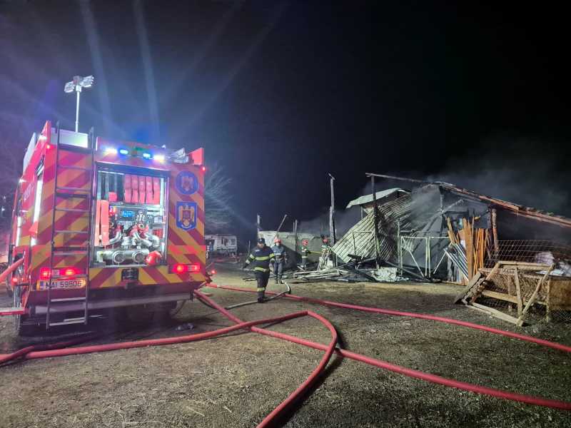 Incendiu la o stână din comuna Balta Doamnei; sute de animale erau în interior