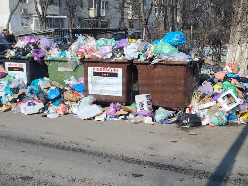 Primăria Ploiești, amendată de DSP și Garda de Mediu din cauza crizei salubrității