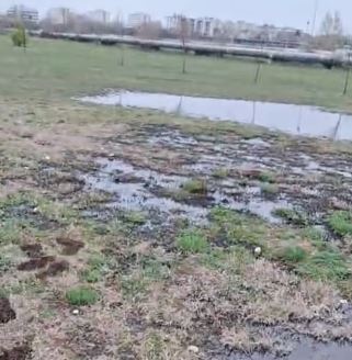 Poluare cu petrol în Parcul Municipal Ploiești Vest, după ce o conductă a Conpet s-a spart