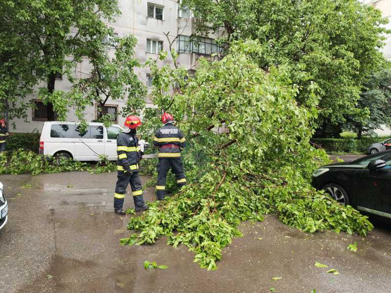Intervenții ale pompierilor în patru localități în cazul unor inundații și al unor copaci căzuți