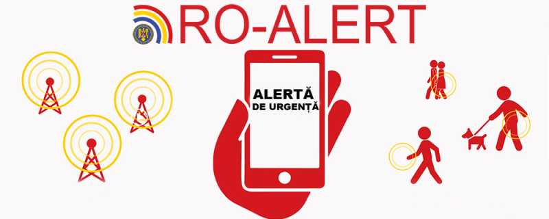 Ursoaică cu doi pui pe o stradă din Bușteni; localnicii – avertizați prin RO-ALERT