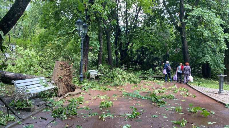 Furtună la Sinaia – copaci căzuți și persoane rănite ușor