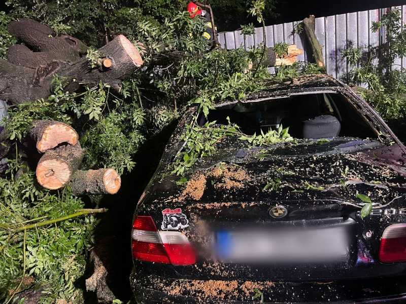 Copaci și stâlpi rupți de furtună în mai multe localități; un panou publicitar a căzut pe autostrada A7