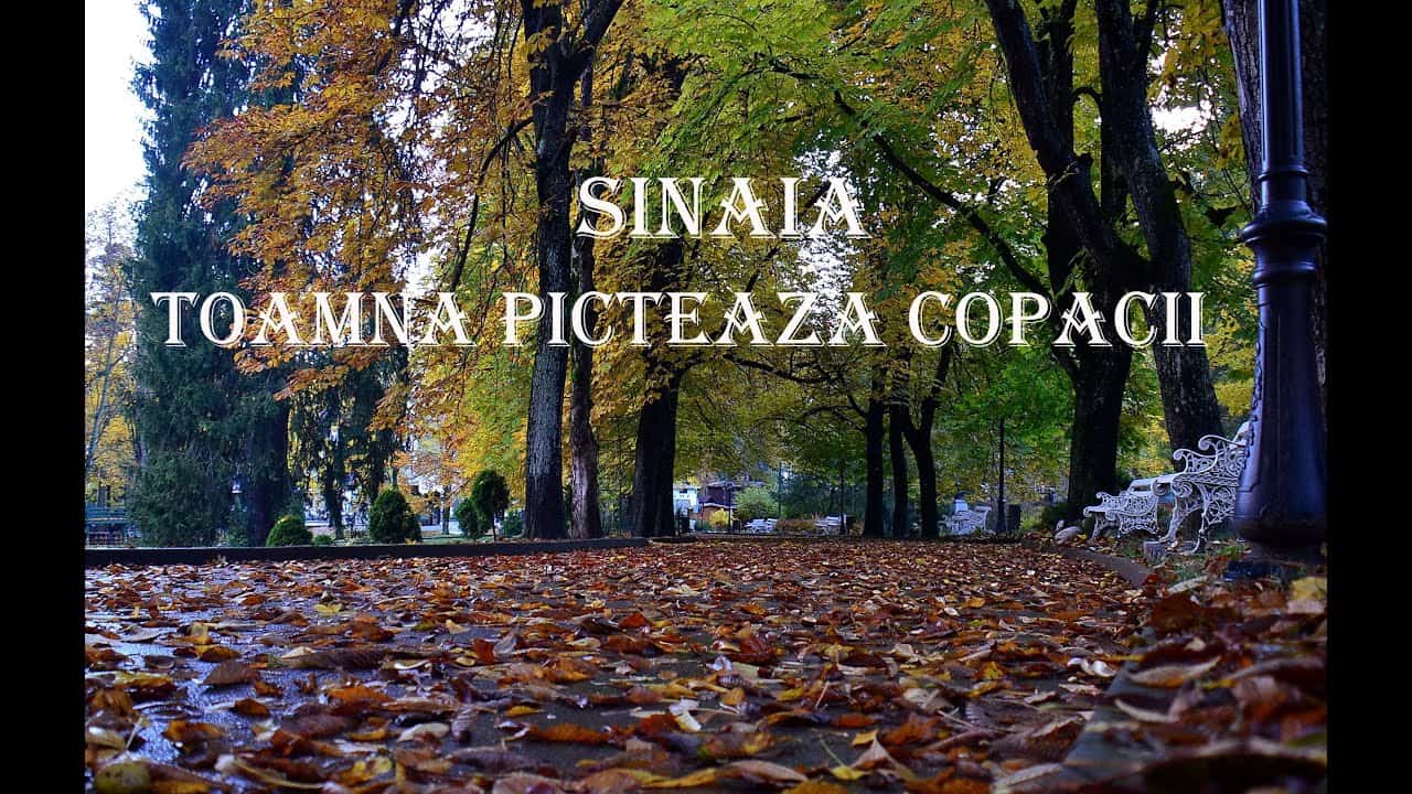 Sinaia     -Toamna pictează copacii