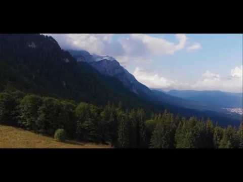 Poiana Stanii Regale