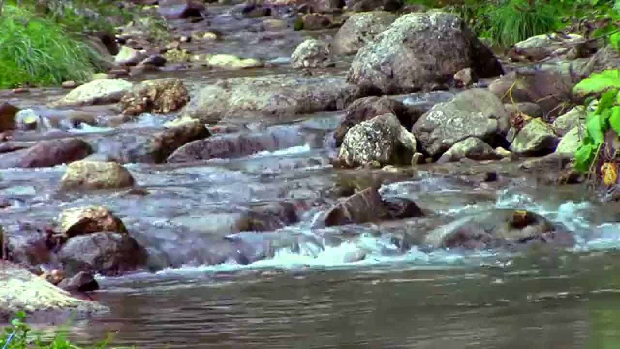 Busteni  valea cerbului   Poiana izvoarelor