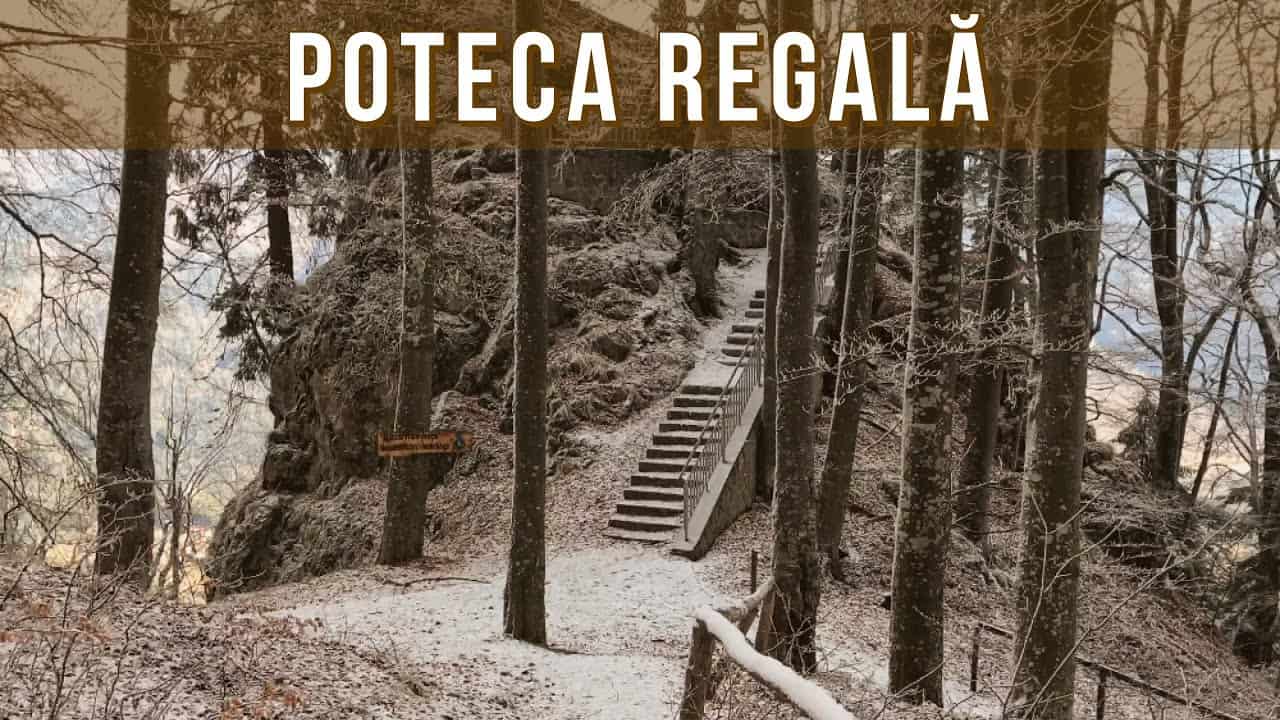 Traseu începători: Poteca Regală și Stâncile Franz Joseph (Sinaia)