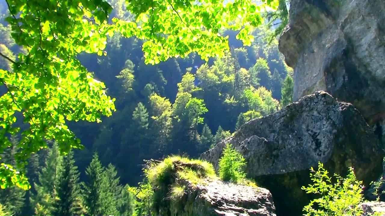 CASCADA SPUMOASA TRASEU