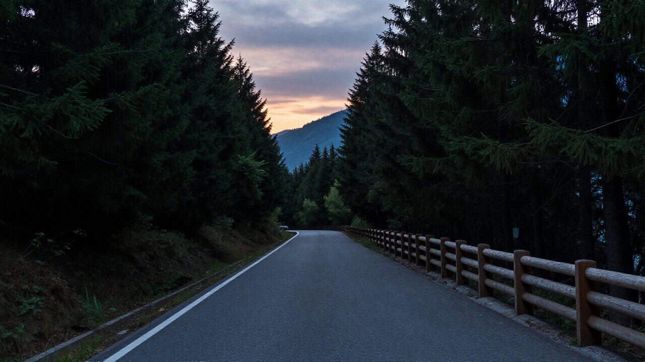 Alertă de urs pe o stradă din stațiunea Bușteni