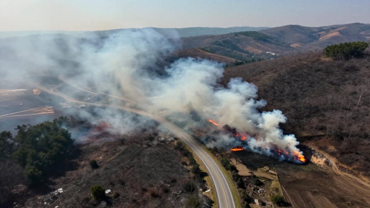 Trafic restricționat pe DN1B în zona Bucov din cauza unui incendiu de vegetație