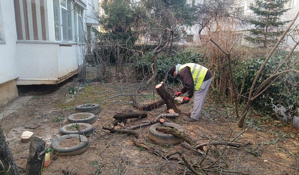 Echipele SGU Ploiești au început curățenia în spațiile verzi din zona blocurilor
