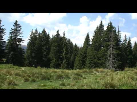 Sinaia ~ Cabana Valea Dorului ~ Cabana Bolboci