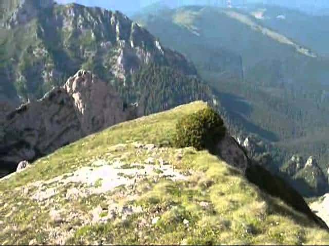 Pe Braul Costilei 2011