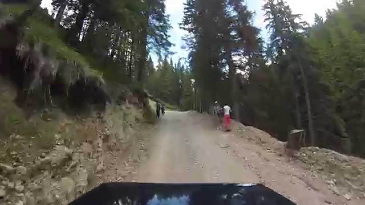 Urcare la Cabana Ciucas – Vitara Iunie 2014