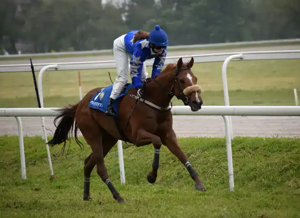 O jocheiță a fost top în cursele de galop! La trap “Vijelie” s-a impus pe ploaie și vânt puternic!
