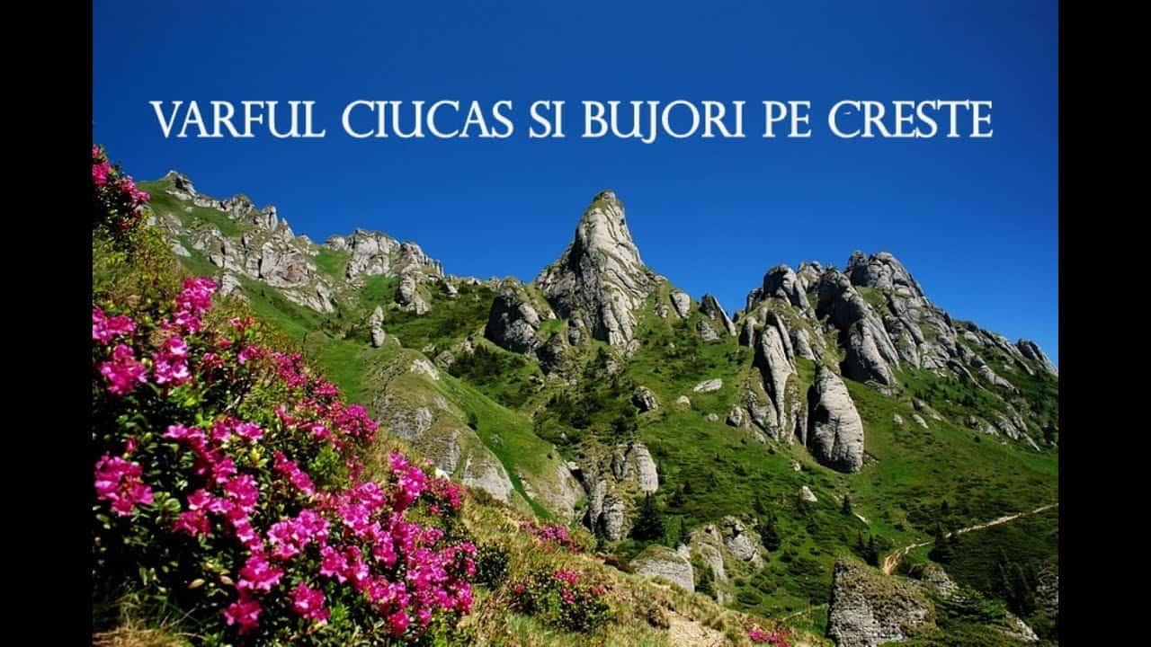 Munții Ciucaș        – Tigăile Mari       – Vechea Cabana Ciucaș