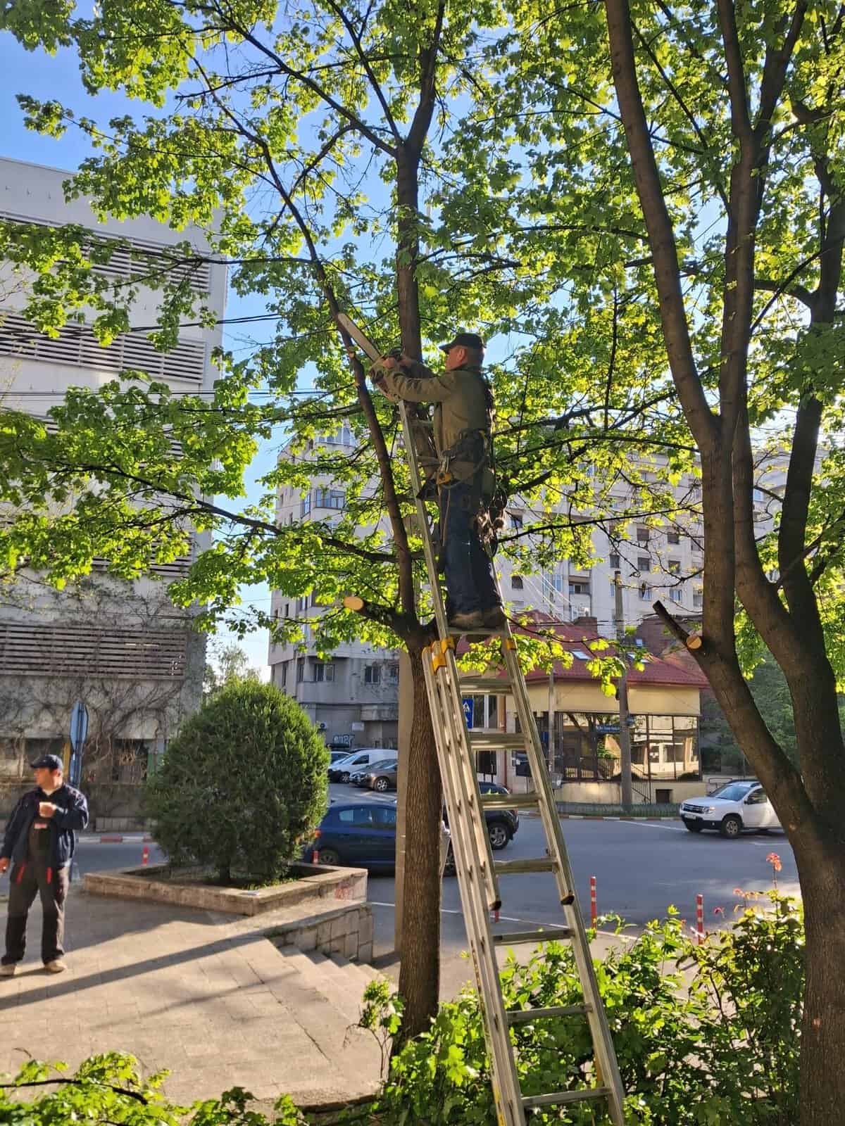 SGU Ploiești: Colegii noștri de la Serviciul Spații Verzi desfășoară astăzi lucrări de sezon în mai multe zone ale municipiului