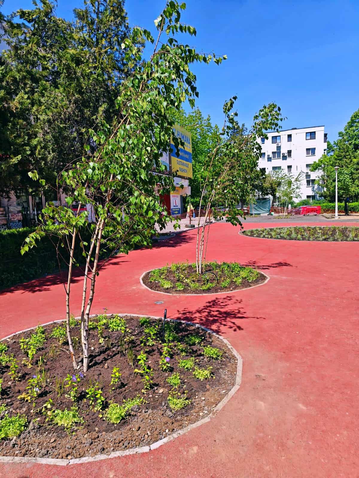 SGU Ploiești: Geometria verde a spațiului din Parcul Modern începe să capete formă!
