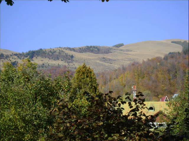 Muzeul Cinegetic Posada jud Prahova 2008 –  (3)