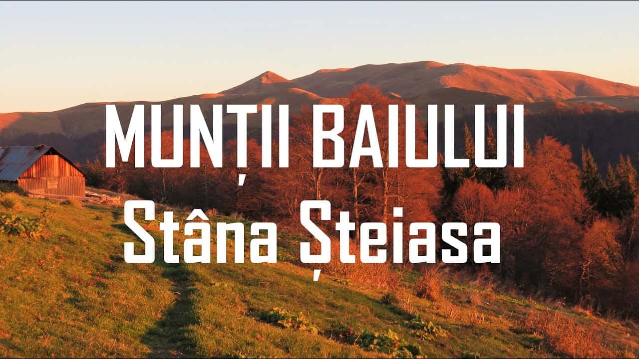 Vară în… noiembrie! – Traversare din Azuga în Valea Doftanei, în tricou și pantaloni scurți