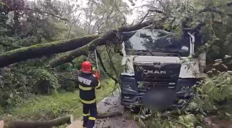 Doi copaci au căzut peste un autocamion care transporta piatră, în Păulești