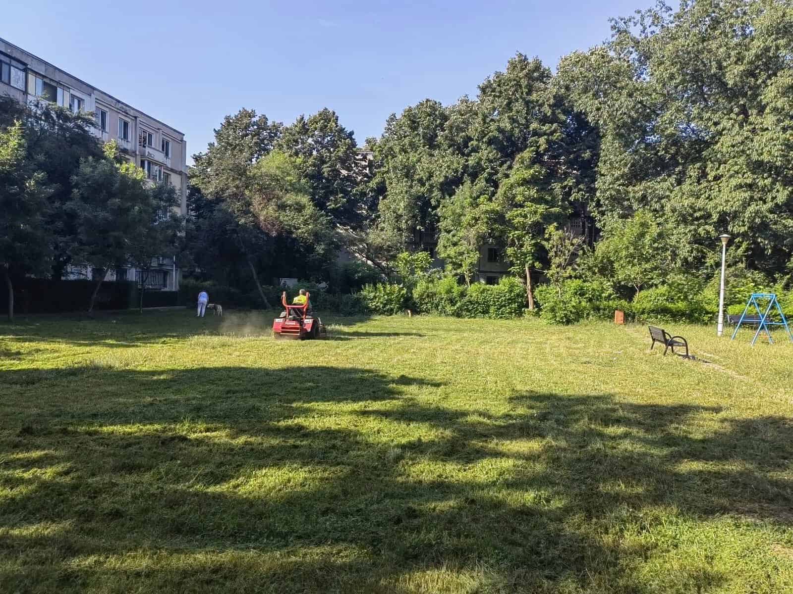 SGU Ploiești: Colegii noștri sunt prezenți zilnic pe teren, desfășurând activități specifice pentru întreținerea și îmbunătățirea spațiilor verzi din municipiu