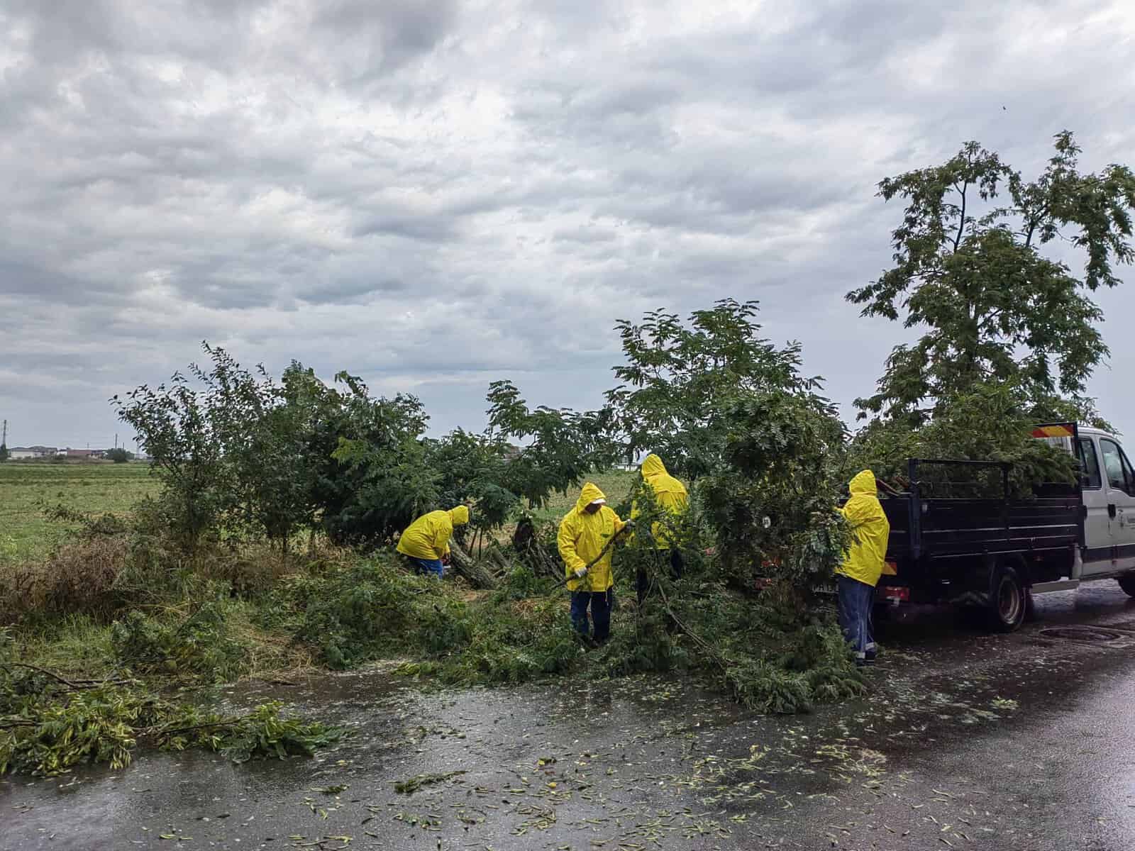 SGU Ploiești: Suntem în teren, desfășurând acțiuni de corectare a efectelor fenomenelor meteo din ultimele ore: arbori afectați, crengi rupte și vegetație deteriorată