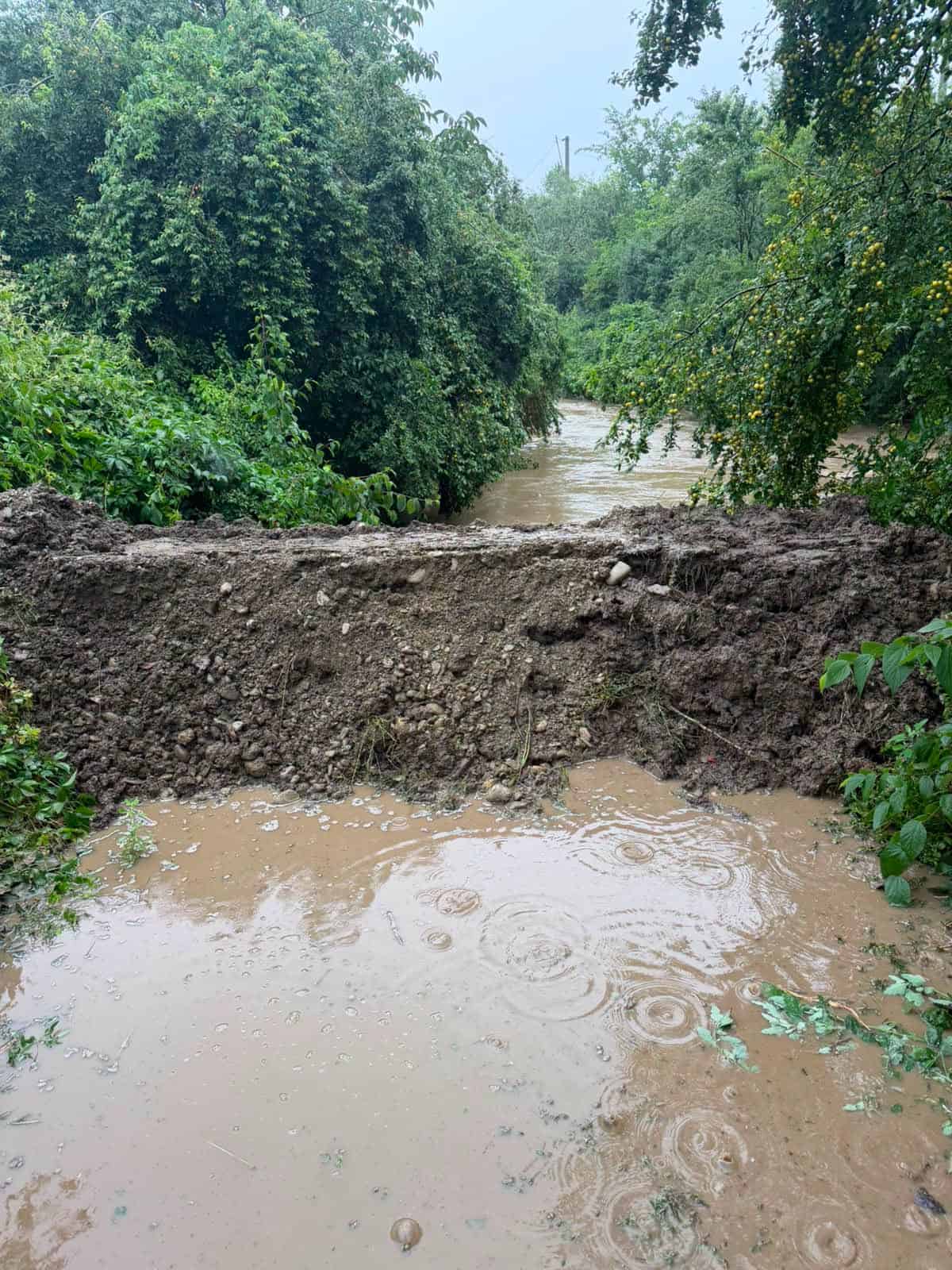 Intervenție comună SGU Ploiești – ISU Prahova
