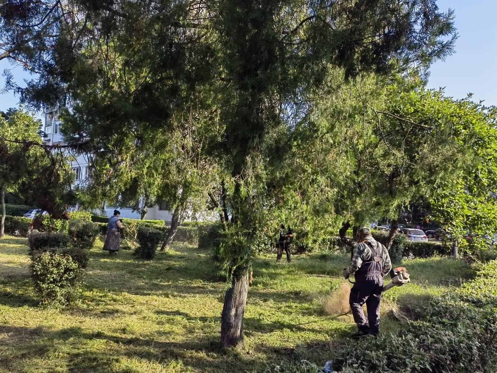 Echipele SGU Ploiești desfășoară astăzi lucrări de întreținere a spațiilor verzi în mai multe zone ale municipiului, conform programului operațional