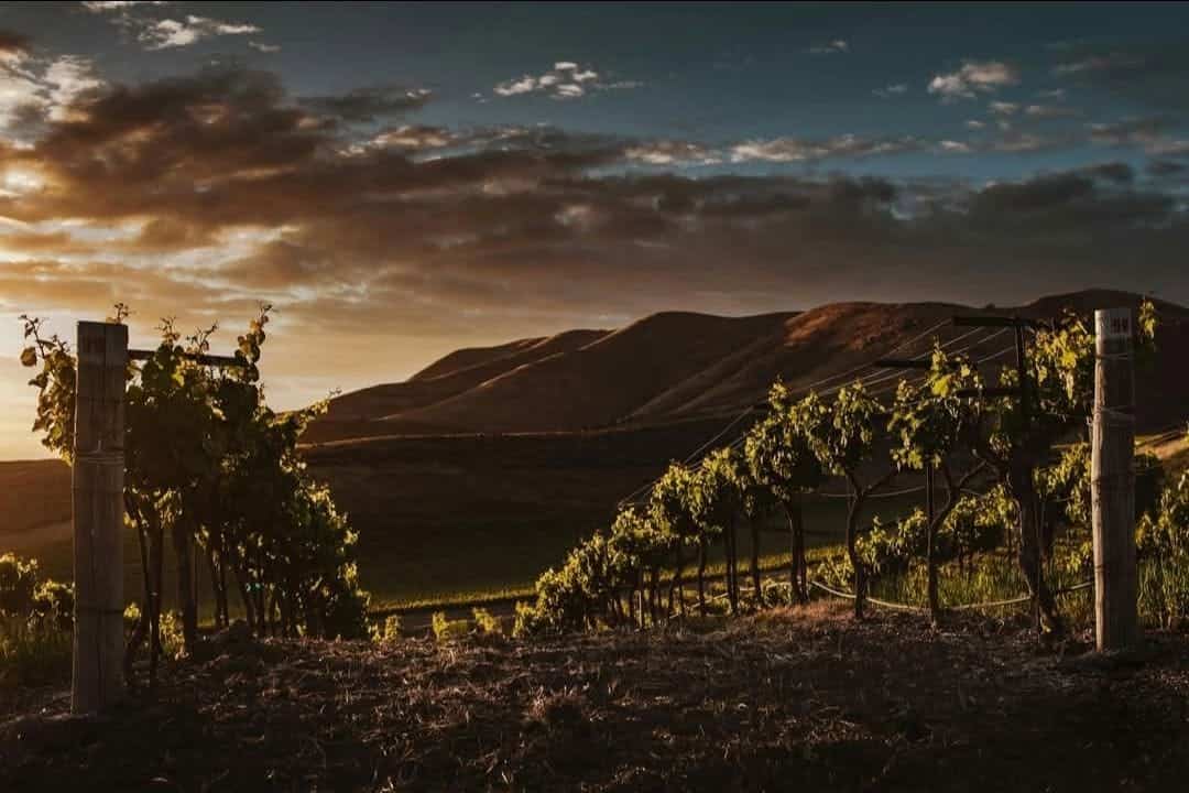 A fost inaugurată la Ceptura cea de-a treia stațiune oenoturistică din județul Prahova