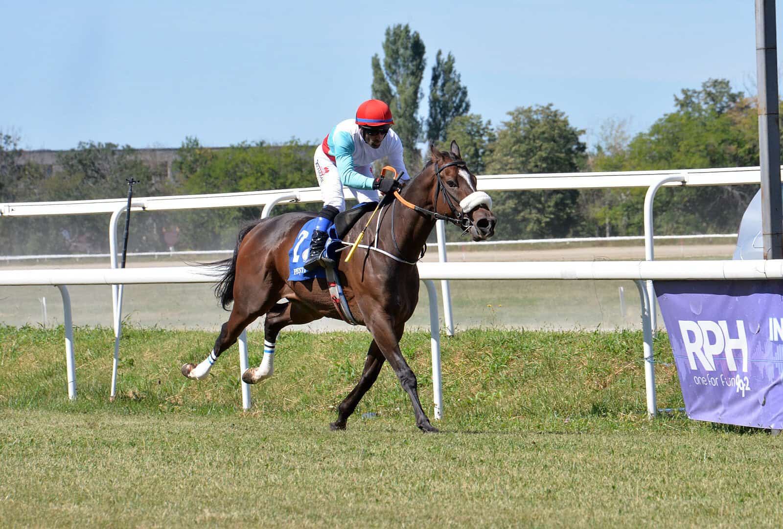 Hipodromul Ploieşti: armăsarul Ze Do Asfalto a câştigat Premiul de Toamnă, la galop!