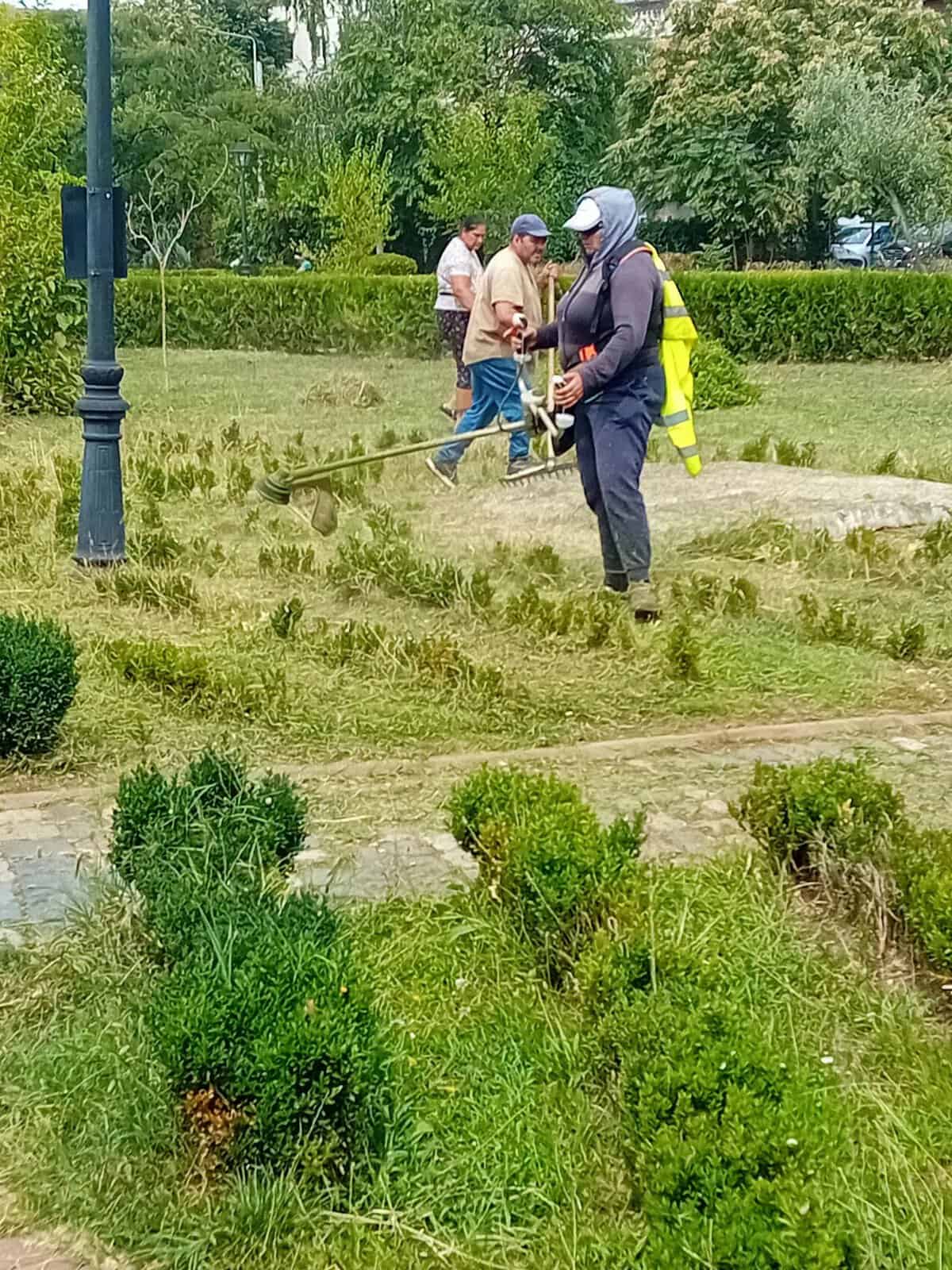 Colegii noștri au desfășurat astăzi lucrări de cosit mecanic și curățenie în Parcul Jianu și Parcul Libertății