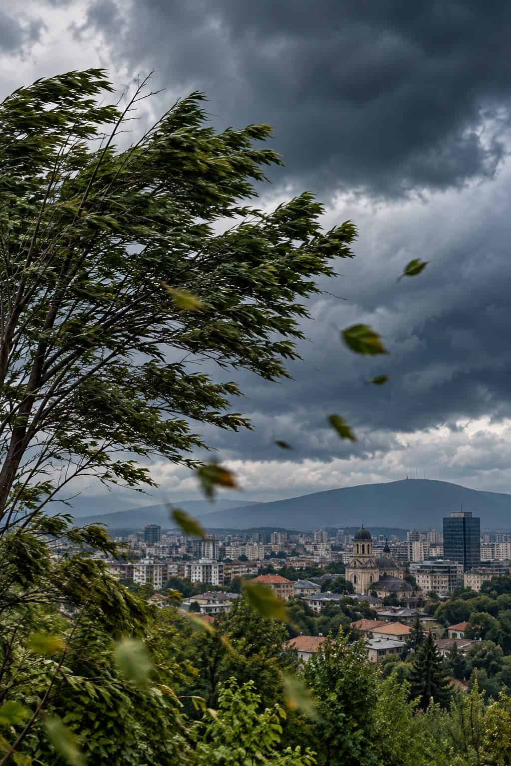 Vânt puternic în Prahova. Recomandări importante pentru populație